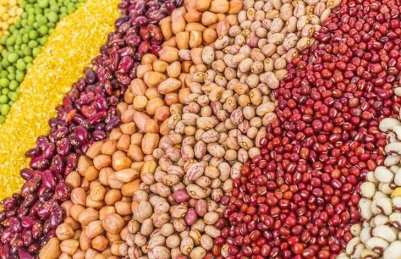 膳食纤维的力量：延续生命的健康守护者