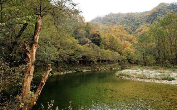 康县梅园沟：秋冬交替之美，斑斓色彩映山川