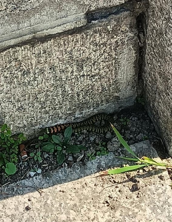 秋日图们游记