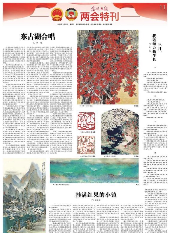 临朐寺头：山间红果点亮小镇新篇章