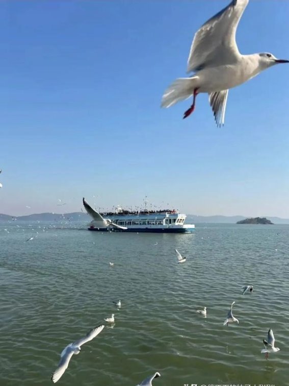 必打卡的20个江河湖海风光，你去过哪些？