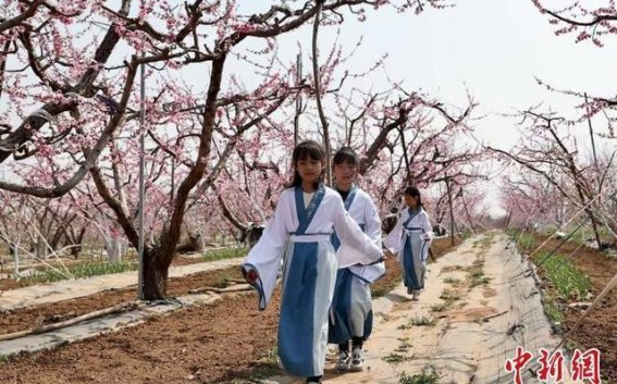 平谷桃花节：文旅融合再创新，春日盛宴蓄势待发