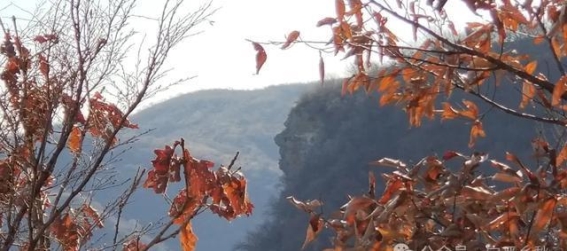 太子岩奇遇：一段与自然对话的旅程