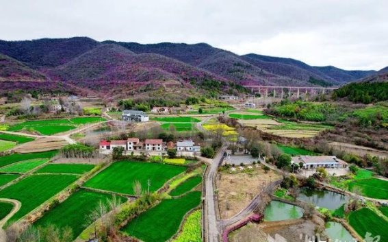 早春的田园，心灵的归宿