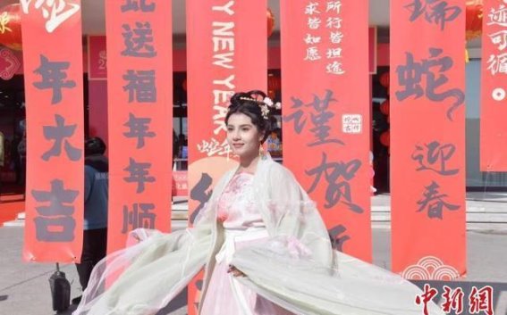 安徽合肥春节联谊活动吸引国际友人体验中国年味