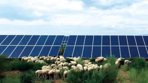 乌兰布和沙漠：新能源光伏治理与未来展望