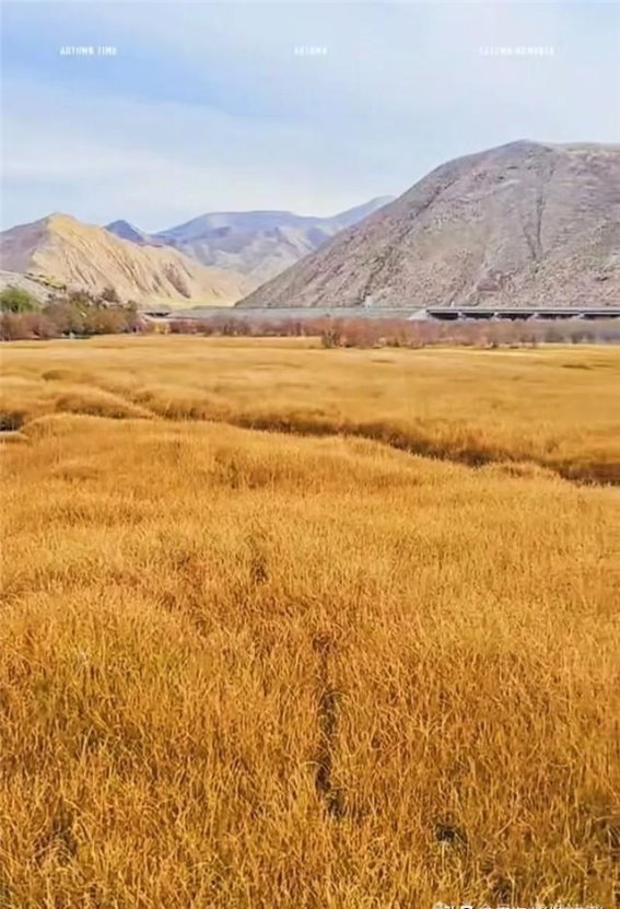 故乡秋日的细腻情怀