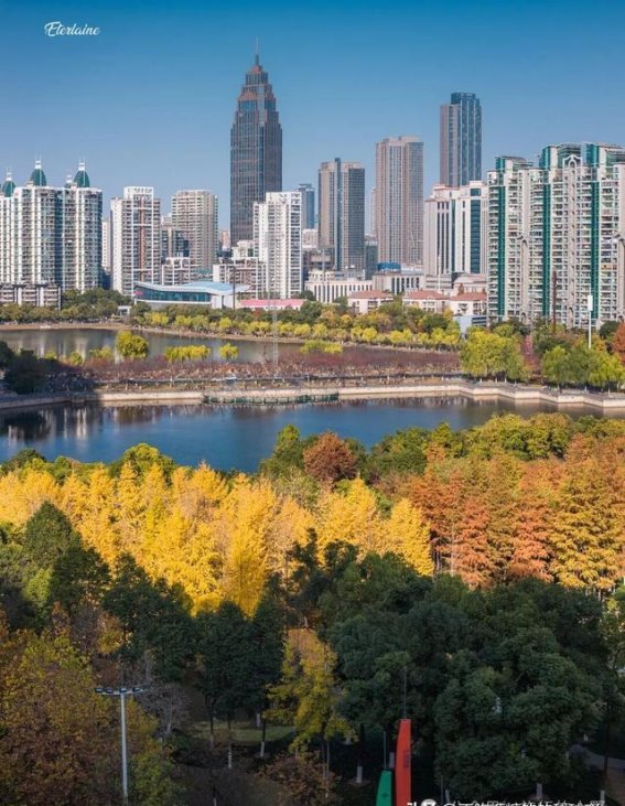 走进武汉西北湖公园，探索都市中的自然秘境