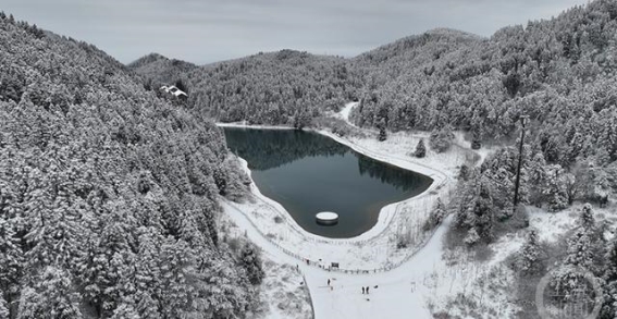 冬日的光与影：在雪中感受温暖与生命