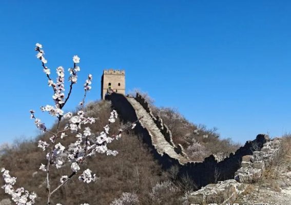 长江流域城市轨道交通客流变化：二线城市崛起，深圳广州大幅下降