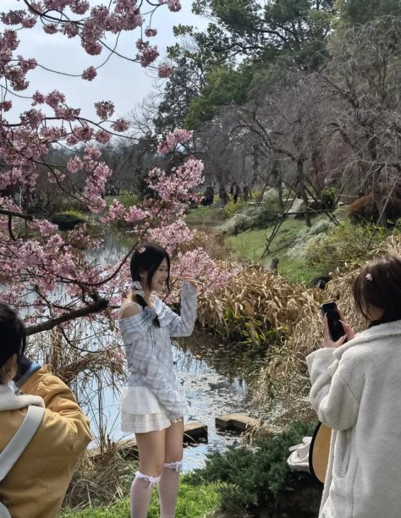如何避开人流，享受东湖樱园的樱花盛宴
