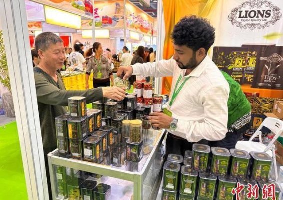 万里茶道再起风华，武夷茶香远扬