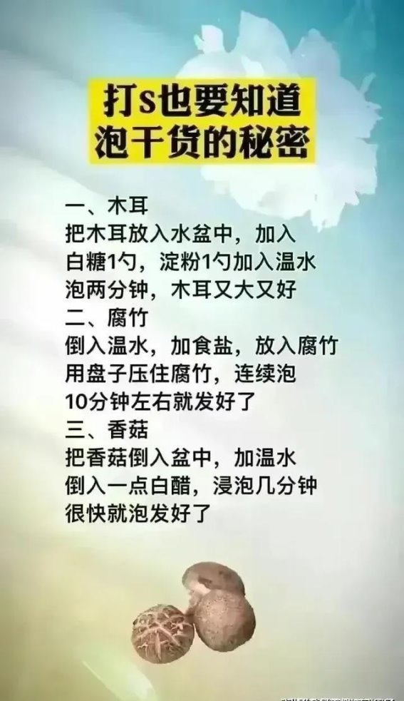 月光下的温暖晚餐：筱萸夕的家的美味与幸福