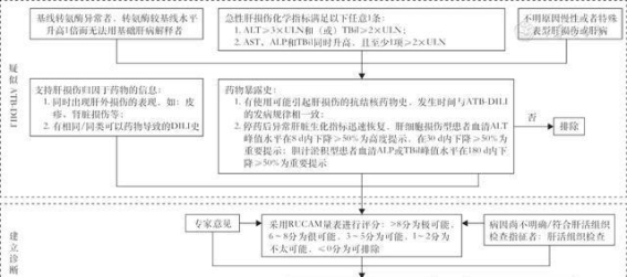抗结核药物引起的药物性肝损伤诊疗新指南（2024版）解读