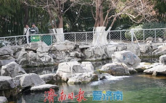 泉水复苏，春雪滋润济南泉城新生