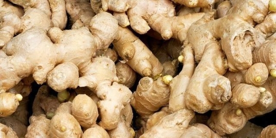 大雪节气与“三辛”养生，寒冬中的温暖守护