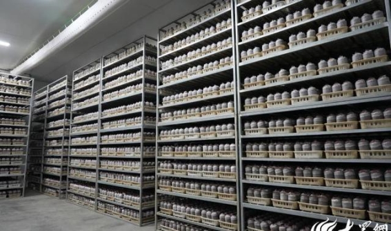 中国中药协会灵芝专委会2025年会在冠县圆满开幕