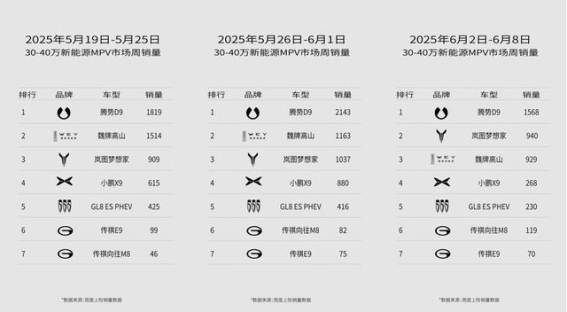 魏牌全新高山：国产高端MPV的全能之选，重新定义家庭出行标准