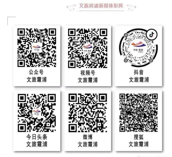 四月不容错过的花海盛宴——走进霞浦玉潭樱花谷，畅游金鱼草世界