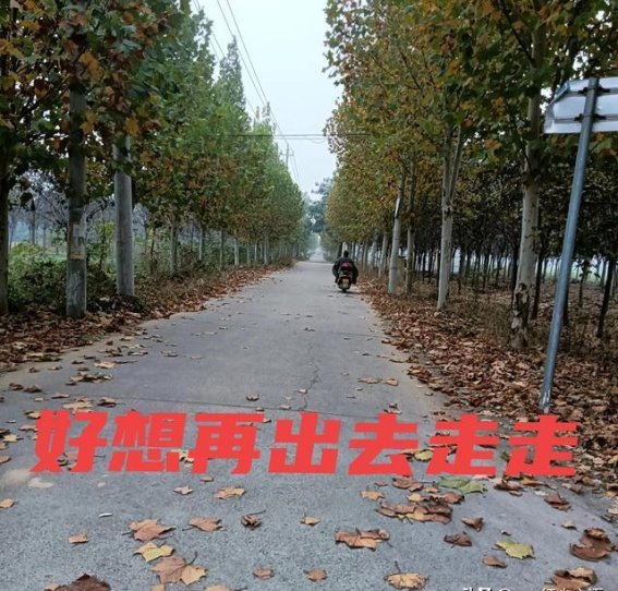 意外的警钟