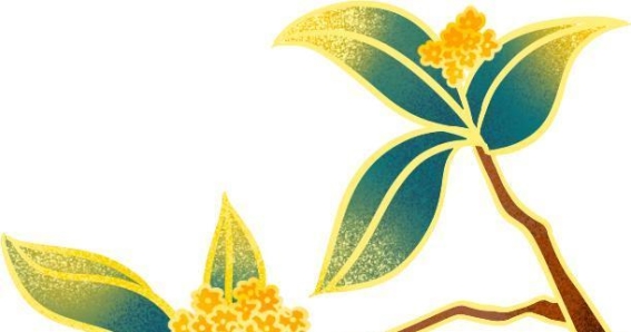 春暖花开，春日里的一场美丽邂逅
