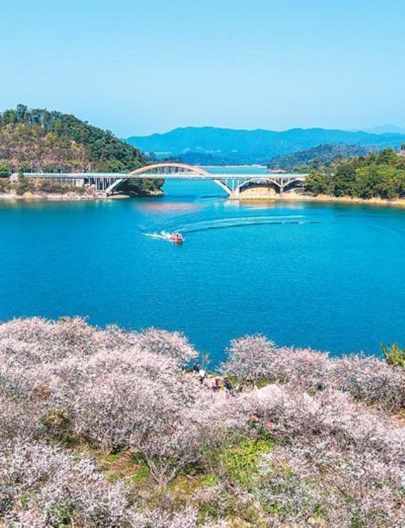 流溪湖梅花盛开，侨乡新貌尽展风采
