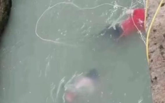 社交平台背后的死亡算法：如何将年轻人推向生死边缘