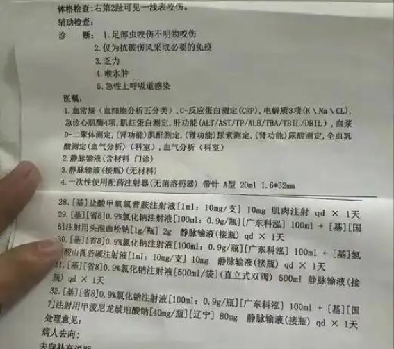 三亚女游客毒蛇咬伤不治身亡，家属质疑医院救治不力