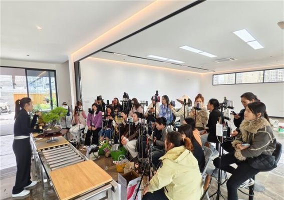 清明小长假消费热潮：传统与创新交织的经济新动能