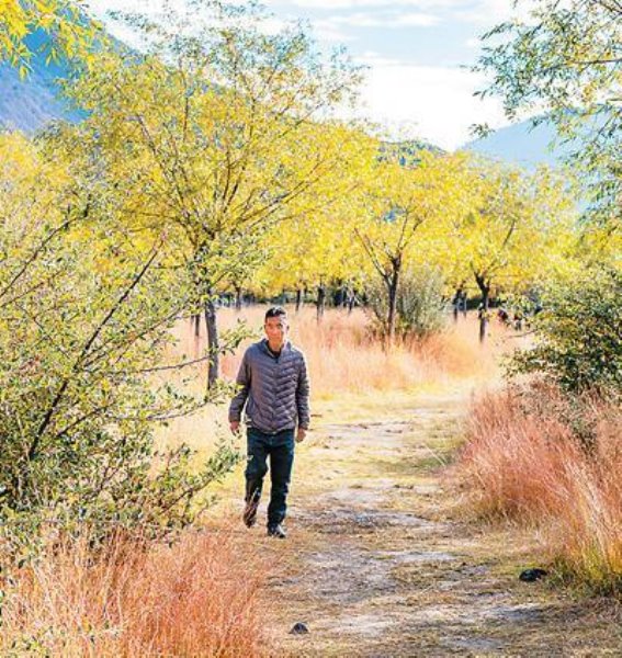 守护湿地生态，见证雅尼的绿色复苏