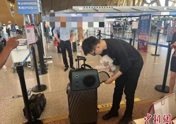 云南首次开启宠物进入客舱服务，旅客与“毛孩子”共享航空时光