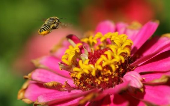 十首唯美踏青诗词：春光旖旎，芳草如茵，人在画中游