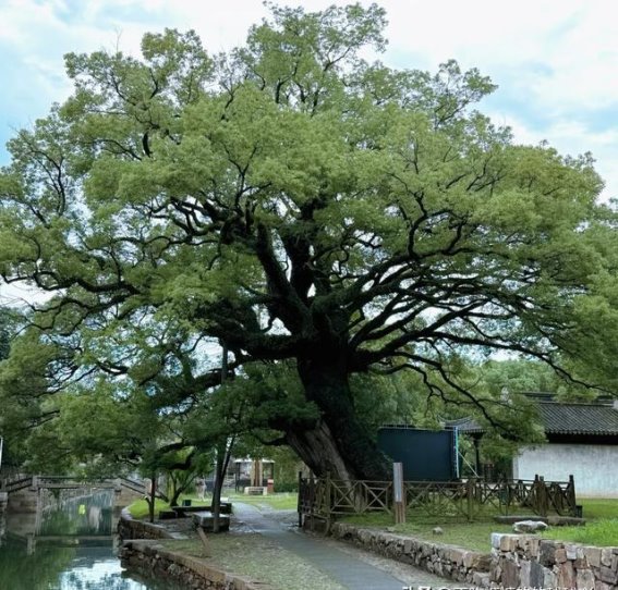 江苏最美的环湖公路，一半湖水一半山，60公里免费玩，自驾正当时