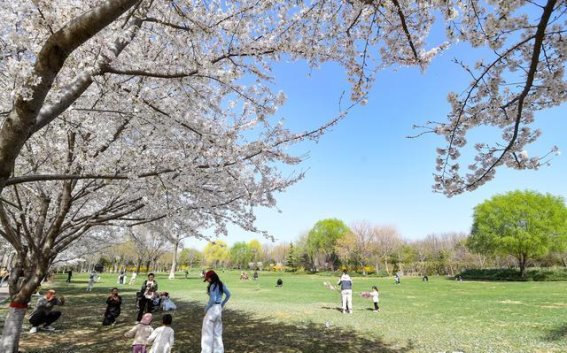 京津冀“旅游+”模式激活春日经济