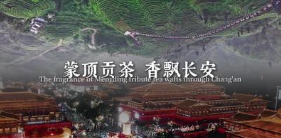 蒙顶贡茶的千年传承与荣耀