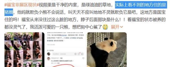 韩国市长要中国赠送大熊猫？中韩关系的新热点引发中国网友热议