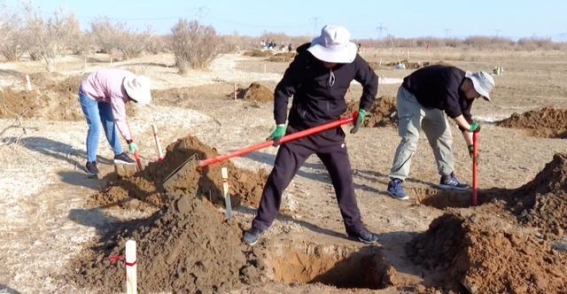 高台县：共植胡杨林 绿色行动绘就生态新篇章