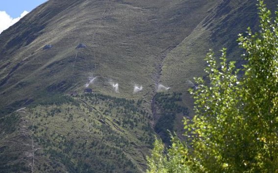 十年绿化奇迹：南山公园从荒山到绿意盎然的蜕变