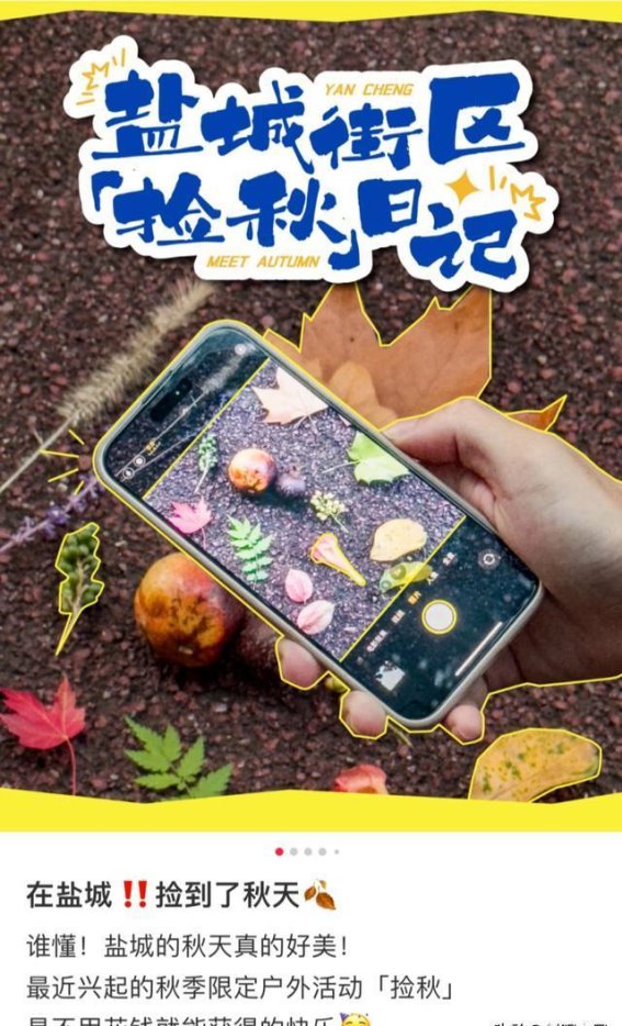 捡秋的魅力：盐城秋日探索之旅