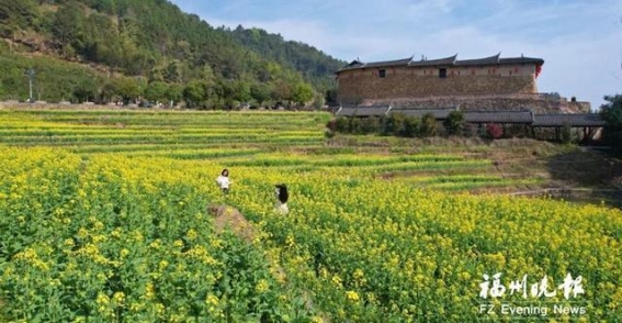春日之约：闽清油菜花海的诗意世界