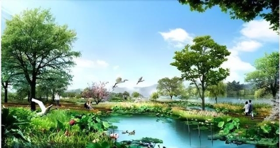 惠州江东的新面貌：大湖溪沥湿地公园的变迁与未来