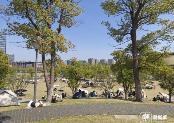 杭州公园的露营现象：美好背后难掩的不文明行为