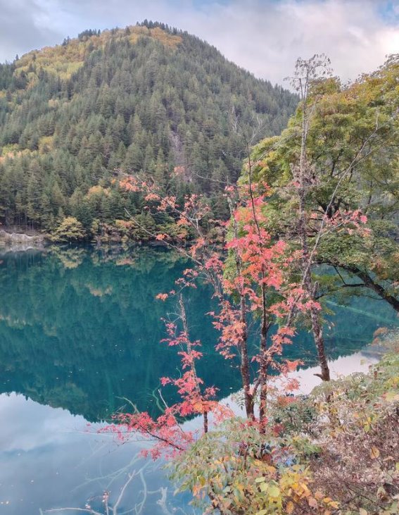 川西的风景与故事