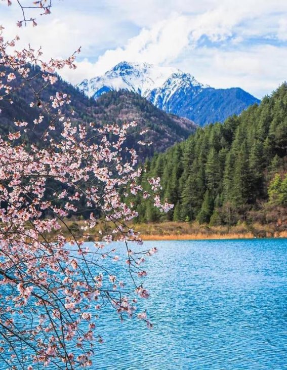 阿坝景区为妇女节送福利，女士们畅游自然美景
