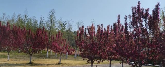 忙碌中的快乐与自我实现