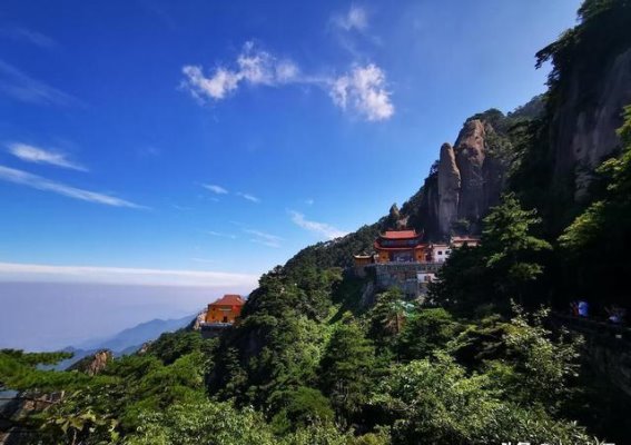 九华山：合肥的意外“香饽饽”