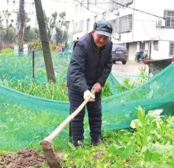 有些人的长寿与养生无关，这些生活习惯才是秘诀