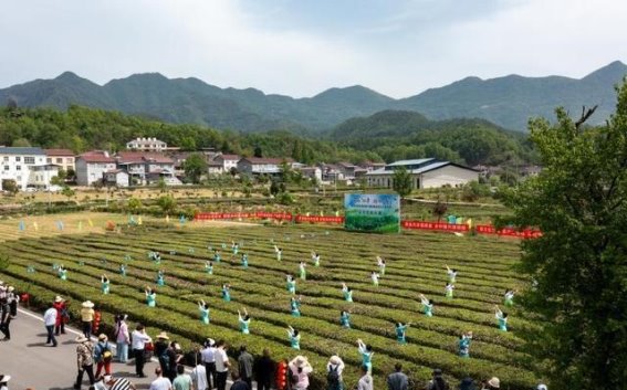 北纬30度的绿叶，激活绿色发展的新动力