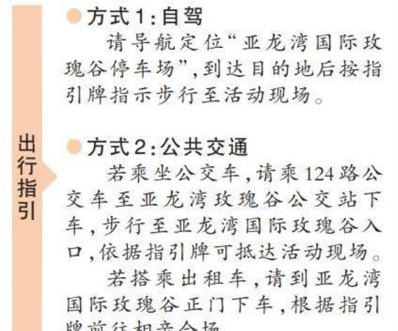 2025三亚“玫瑰之约”相亲会：浪漫与真爱的美丽邂逅