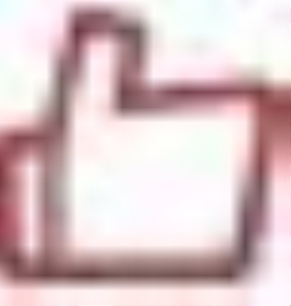 2025上海桃花节：文旅融合助力消费新突破